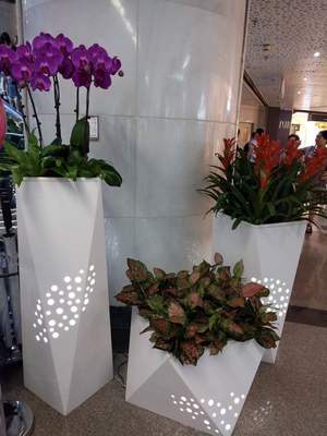 個性花卉產品租賃_個性花卉產品批發零售_高端組景組盆花卉專業租貨_長沙花卉租擺_高端花卉專業設計租賃