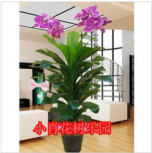 【塑料花假花蝴蝶蘭】最新最全塑料花假花蝴蝶蘭 產品參考信息